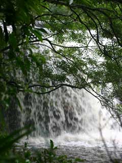 本日午後の西田の滝